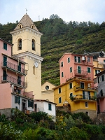 The terraces around Manarola