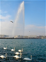 Jet d'Eau