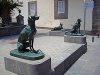 The Canary Islands' appellation were derived from the latin Insula Canaria or "Island of the Dogs" which were more likely monk seals rather than actual dogs.