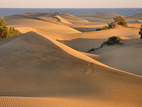A massive beach is formed in Maspalomas where the sand dunes meet the Atlantic Ocean.