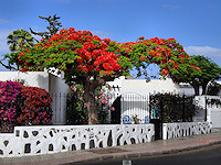 A typical villa on the Costa Canaria.