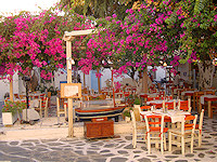 Sitting in the sun under a bougainvillea and sipping ouzo - that's living.