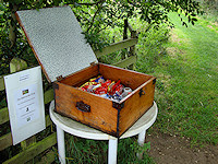 Honesty box