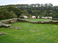 Milecastle #49