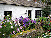 Local cottage