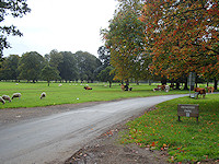 Rickerby Park