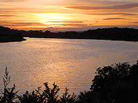 Tyne sunset