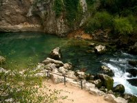 The spring at Fontaine to Vaucluse