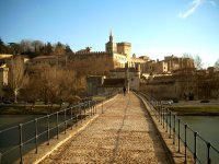 A view of the Palais from the Pont.