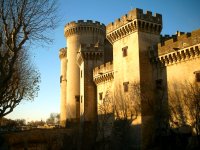 The beautifully-preserved castle at Tarascon.