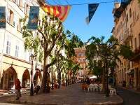 The shady square in which the weekly market is held.