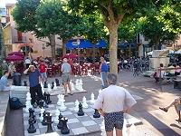 Giant chess