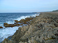 The rocky windward coastline of Aruba.