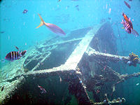 The Antilla is one of Aruba's most popular dive spots.