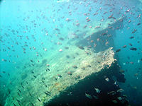 The German freighter Antilla was sunk in 1940.