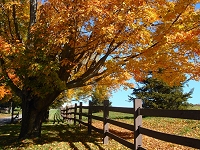 A typical country scene.