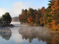 Early morning mist.