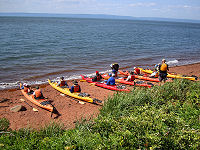 What's up with all the kayakers?