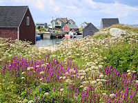 Peggy's Cove