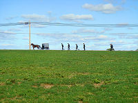 Amish on the horizon.