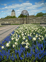 Spring flowers near city hall.