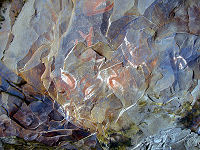 Sadly,the petroglyphs are unprotected and tourists have chipped pieces off as souvenirs.