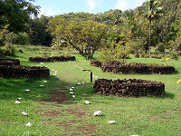 Manavai were used to retain moisture and protect saplings from wind.