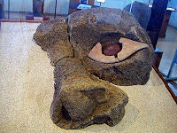 Moai eyes were made of coral with a pupil of black obsidian or red scorria. 