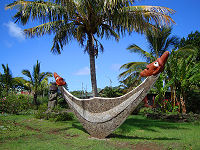 A reimiro symbolizes the canoe and is worn by the Rapa Nui people across their chest.