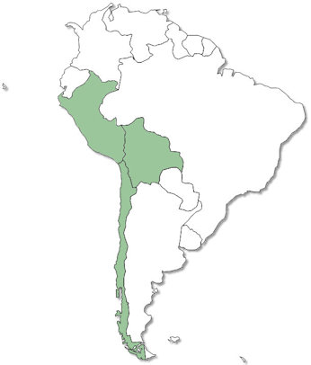 The Rest of South America - No Trips Yet
